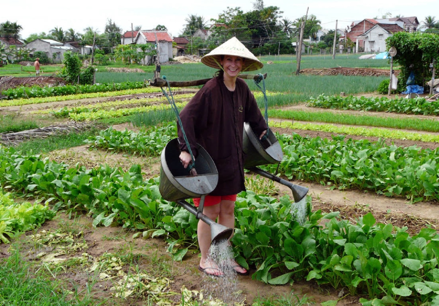 Làng rau Trà Quế đón lượng khách du lịch ngày càng đông. Làng rau Trà Quế đón lượng khách du lịch ngày càng đông.