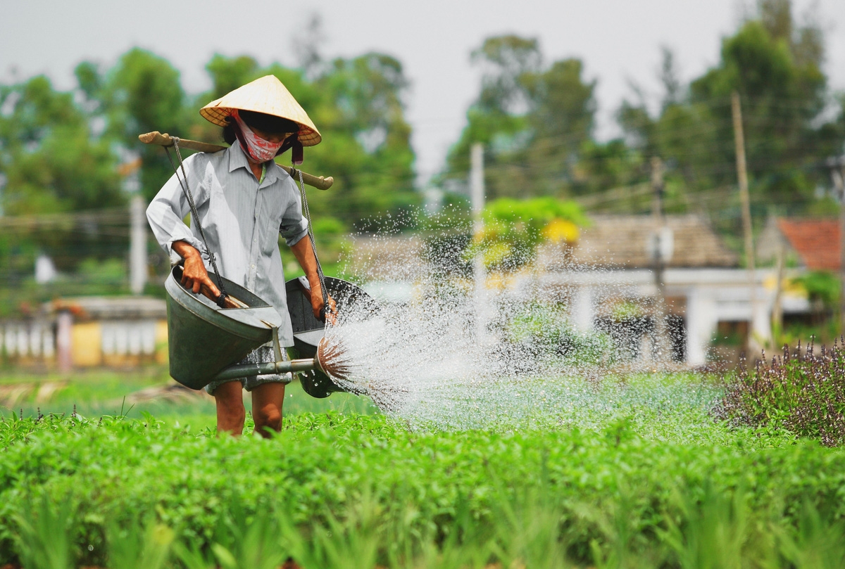 Việc được công nhận Làng du lịch tốt nhất thế giới giúp du lịch Hội An phát triển, thu nhập người dân được cải thiện. Việc được công nhận Làng du lịch tốt nhất thế giới giúp du lịch Hội An phát triển, thu nhập người dân được cải thiện.