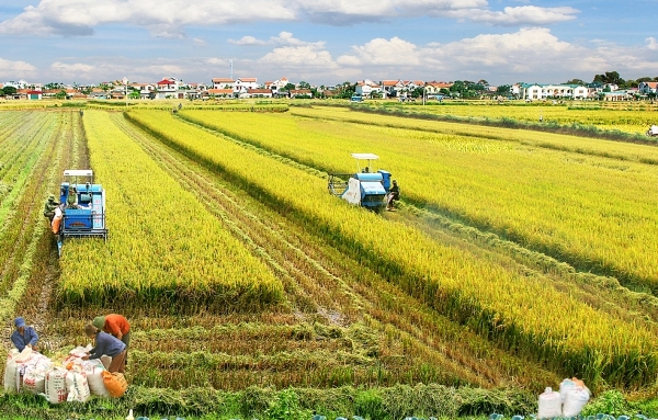 Bộ chỉ tiêu giám sát, đánh giá về nông nghiệp, nông dân và nông thôn gồm 51 chỉ tiêu (Ảnh IT) Bộ chỉ tiêu giám sát, đánh giá về nông nghiệp, nông dân và nông thôn gồm 51 chỉ tiêu (Ảnh IT)