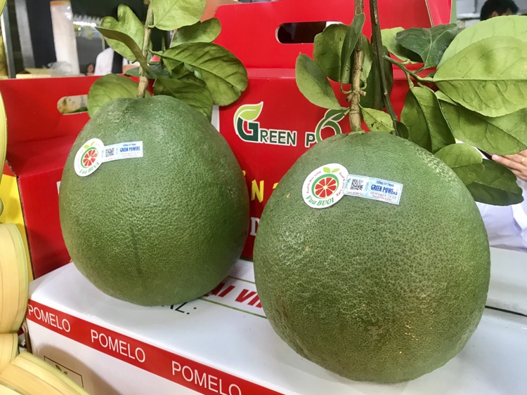 Xuất khẩu rau, quả đạt mức cao nhất từ trước đến nay