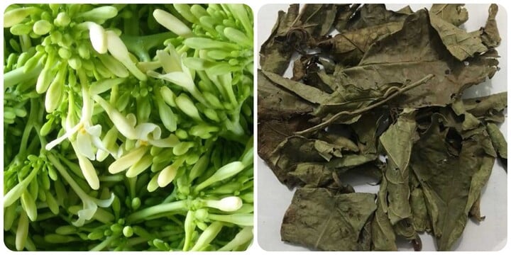Hoa đu đủ đực và lá xạ đen rất tốt cho sức khoẻ.