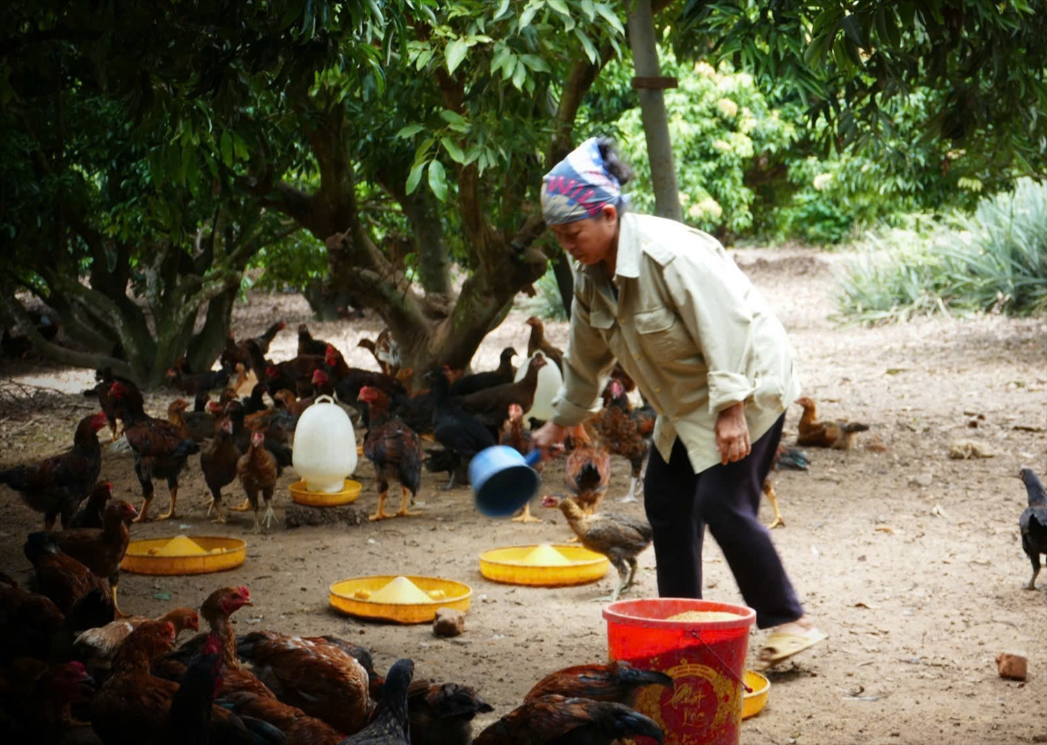 Người dân Hàm Yên đã thay đổi tư duy, chủ động vươn lên thoát nghèo. Người dân Hàm Yên đã thay đổi tư duy, chủ động vươn lên thoát nghèo.