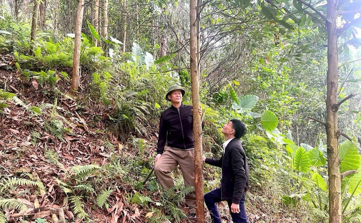 Ông Lý Văn Vinh (bên trái) dân tộc Dao, thôn Cốc Phường, xã Yên Thuận vay vốn chính sách phát triển rừng sản xuất Ông Lý Văn Vinh (bên trái) dân tộc Dao, thôn Cốc Phường, xã Yên Thuận vay vốn chính sách phát triển rừng sản xuất