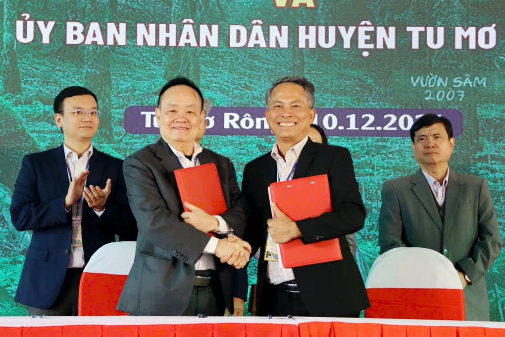 Hàng trăm hộ dân làm giàu, tậu ô tô nhờ cây quốc bảo - 2 Hàng trăm hộ dân làm giàu, tậu ô tô nhờ cây quốc bảo - 2