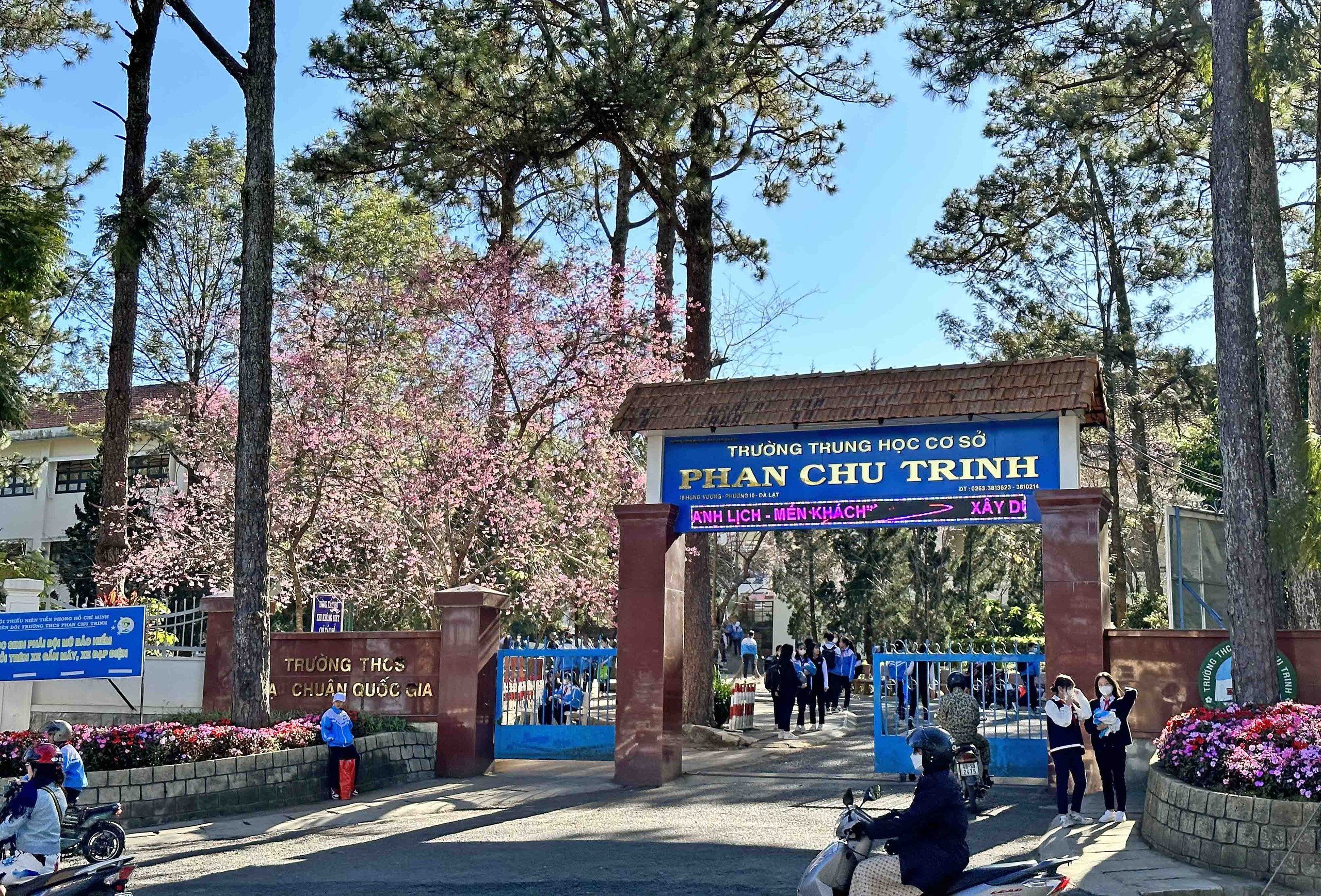 Học sinh Đà Lạt nghỉ học buổi chiều ngày khai mạc Festival hoa- Ảnh 1. Học sinh Đà Lạt nghỉ học buổi chiều ngày khai mạc Festival hoa- Ảnh 1.