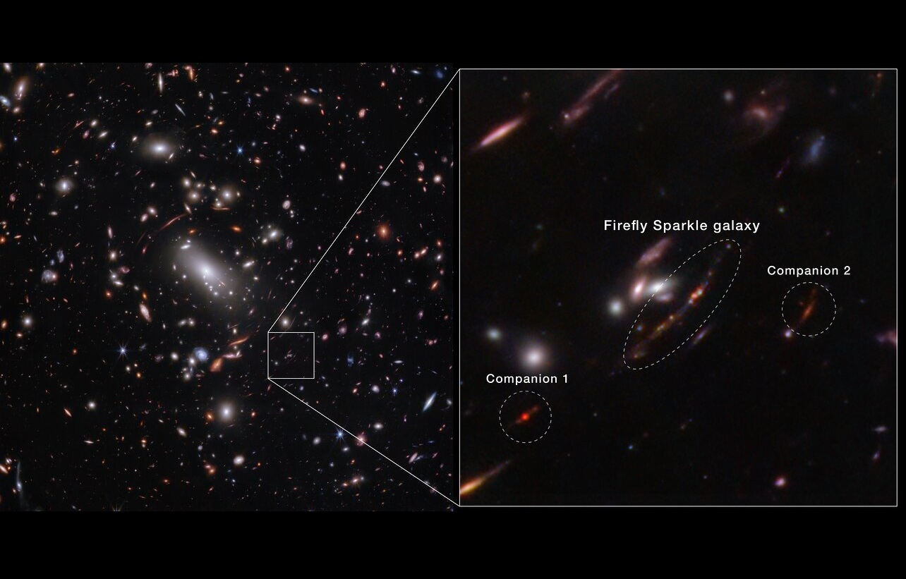 Lộ diện Lộ diện