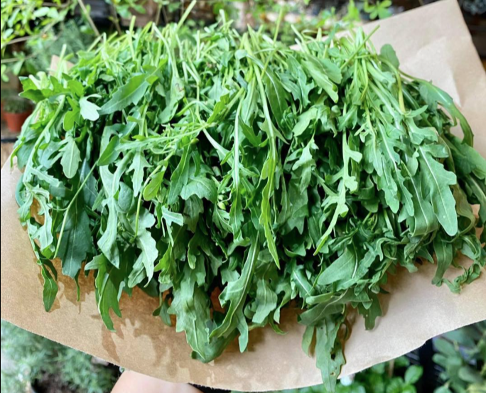 Loại rau tên lạ bán nhiều ở chợ, cực tốt với người bệnh tiểu đường- Ảnh 1. Loại rau tên lạ bán nhiều ở chợ, cực tốt với người bệnh tiểu đường- Ảnh 1.