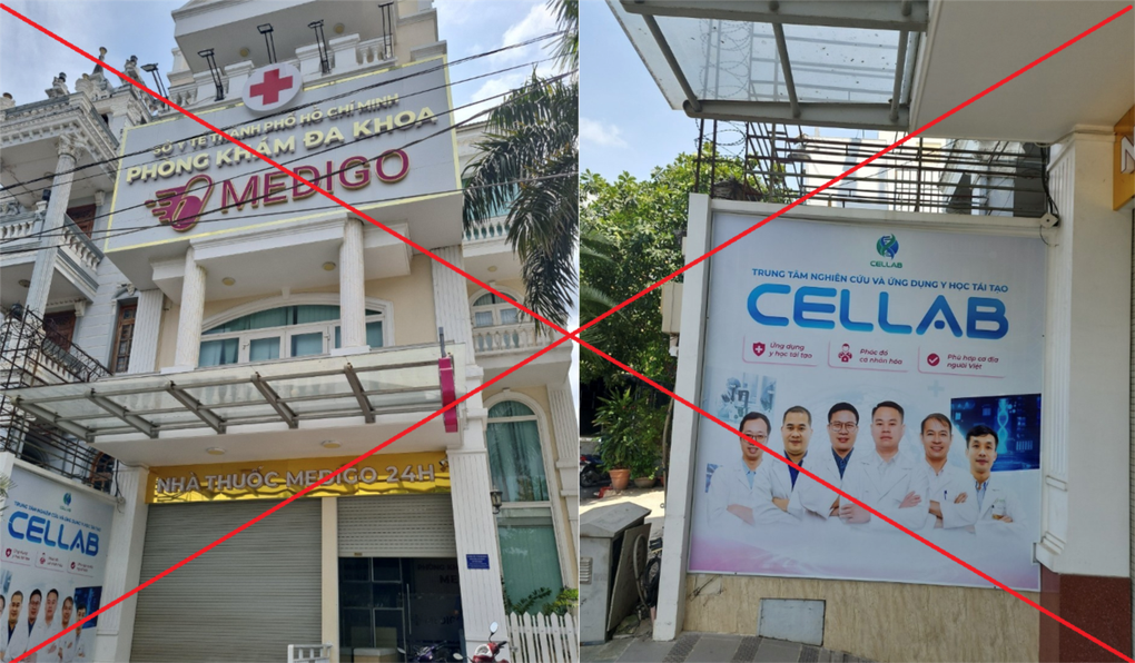 Tế bào gốc mở ra nhiều triển vọng trong y học hiện đại - 2 Tế bào gốc mở ra nhiều triển vọng trong y học hiện đại - 2