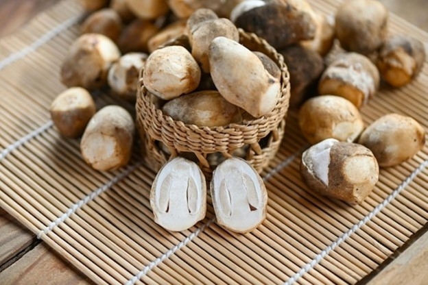 Việt Nam có một 'vị thuốc' ruộng đồng, cực dễ tìm nhưng không phải ai cũng biết - Ảnh 1. Việt Nam có một 'vị thuốc' ruộng đồng, cực dễ tìm nhưng không phải ai cũng biết - Ảnh 1.