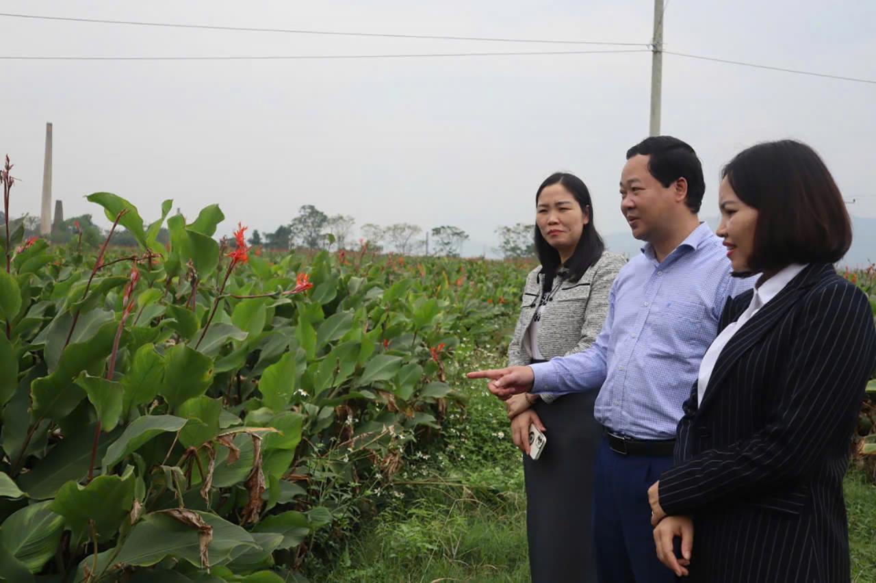 Chương trình Mỗi xã một sản phẩm (OCOP): Mở hướng phát triển mới cho Ba Vì Chương trình Mỗi xã một sản phẩm (OCOP): Mở hướng phát triển mới cho Ba Vì