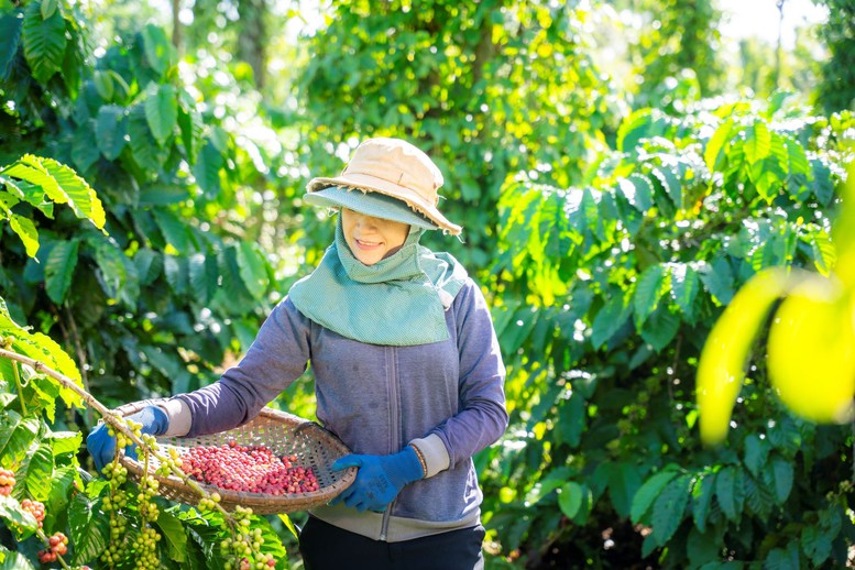Chương trình NESCAFÉ Plan được vinh danh ở hạng mục cao nhất tại Human Act Prize năm 2024 - Vietnam.vn Chương trình NESCAFÉ Plan được vinh danh ở hạng mục cao nhất tại Human Act Prize năm 2024