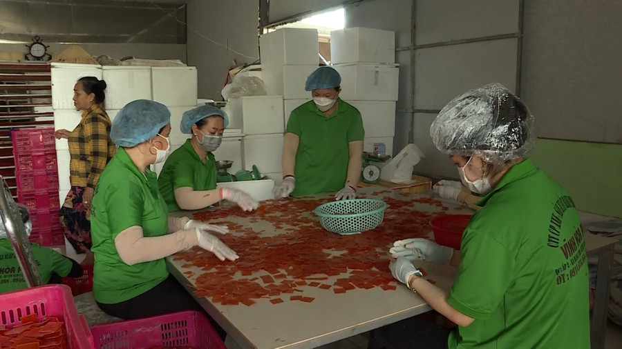 Đồng bằng sông Cửu Long: Nâng tầm sản phẩm OCOP - Vietnam.vn Đồng bằng sông Cửu Long: Nâng tầm sản phẩm OCOP