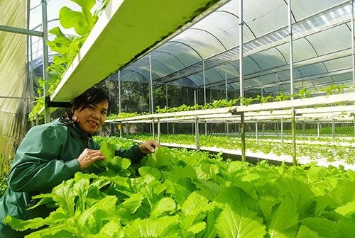 Đức Linh:Có thêm 10 sản phẩm được công nhận đạt chuẩn OCOP 3 sao Đức Linh:Có thêm 10 sản phẩm được công nhận đạt chuẩn OCOP 3 sao
