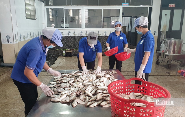 Hải Phòng: Đưa loài cá “bình dân” thành sản phẩm OCOP nổi tiếng - Vietnam.vn Hải Phòng: Đưa loài cá “bình dân” thành sản phẩm OCOP nổi tiếng