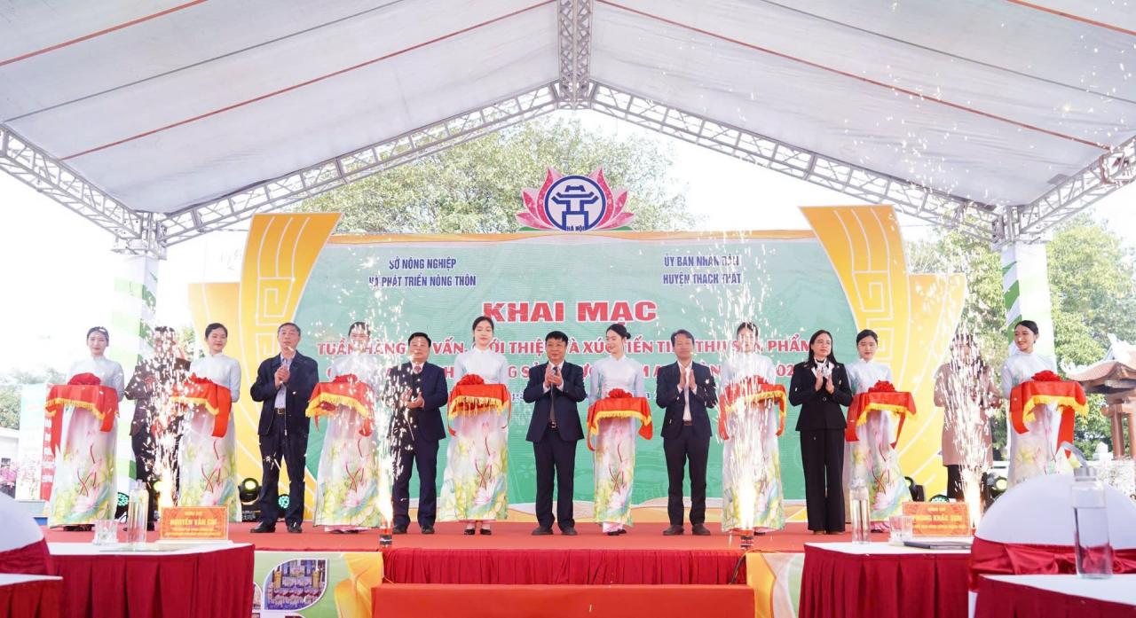 Khai mạc Tuần hàng OCOP, làng nghề, nông sản, thực phẩm an toàn năm 2024 tại huyện Thạch Thất - Vietnam.vn Khai mạc Tuần hàng OCOP, làng nghề, nông sản, thực phẩm an toàn năm 2024 tại huyện Thạch Thất