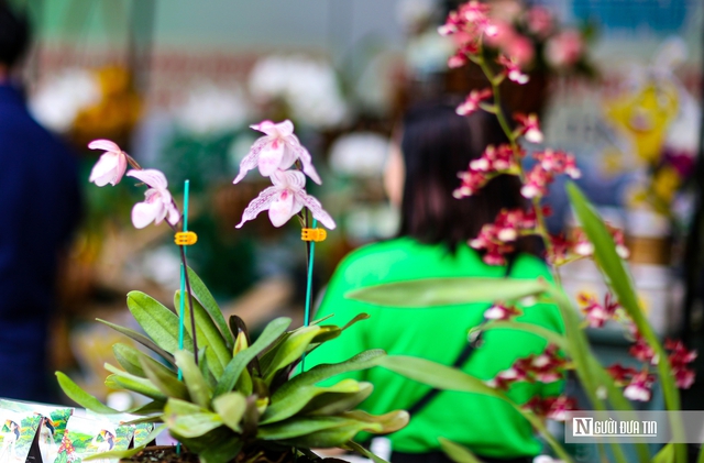 Khám phá phiên chợ nông sản OCOP của Tp.Bảo Lộc Khám phá phiên chợ nông sản OCOP của Tp.Bảo Lộc