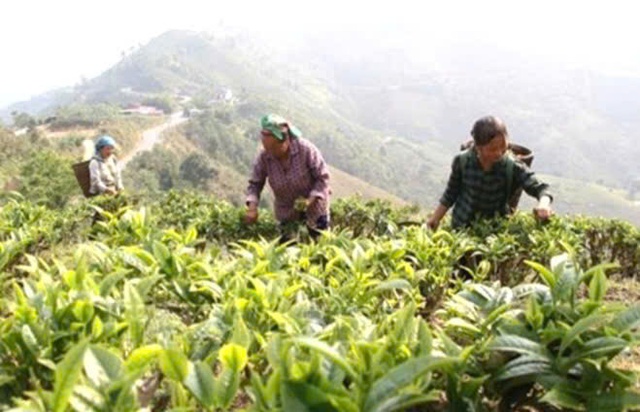 Khơi dậy tiềm năng phát triển sản phẩm OCOP ở huyện miền núi Kỳ Sơn - Vietnam.vn Khơi dậy tiềm năng phát triển sản phẩm OCOP ở huyện miền núi Kỳ Sơn