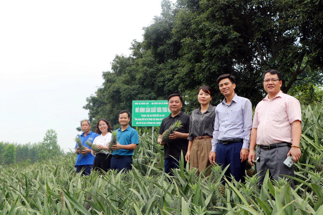 Lan toả câu chuyện sản phẩm OCOP hấp dẫn, nông dân Bắc Giang tăng giá trị nông sản - Vietnam.vn Lan toả câu chuyện sản phẩm OCOP hấp dẫn, nông dân Bắc Giang tăng giá trị nông sản