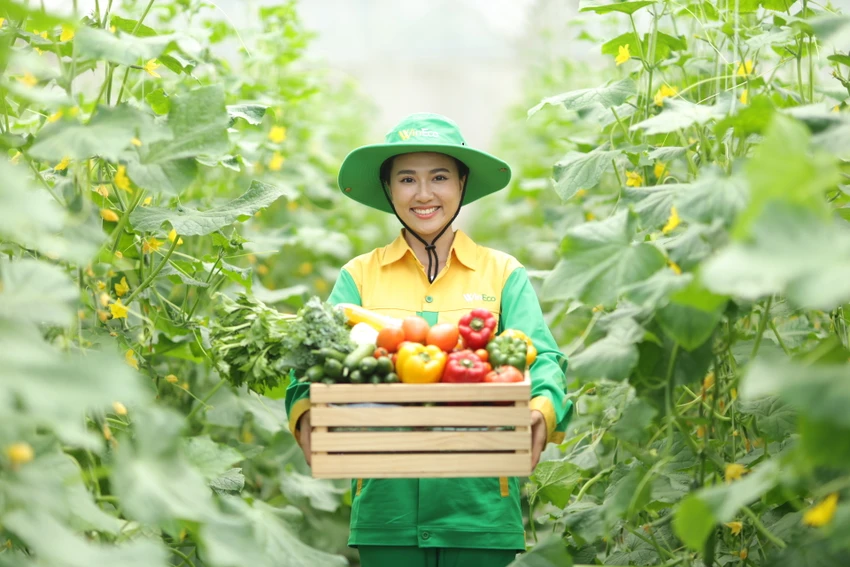 Những vụ mùa rau, củ, quả bội thu đang trong quá trình thu hoạch và được lên kế hoạch xuất khẩu cho những thị trường quốc tế trong thời gian sắp tới Masan 2024: hái 'trái ngọt', tăng tốc mở rộng quy mô mảng bán lẻ