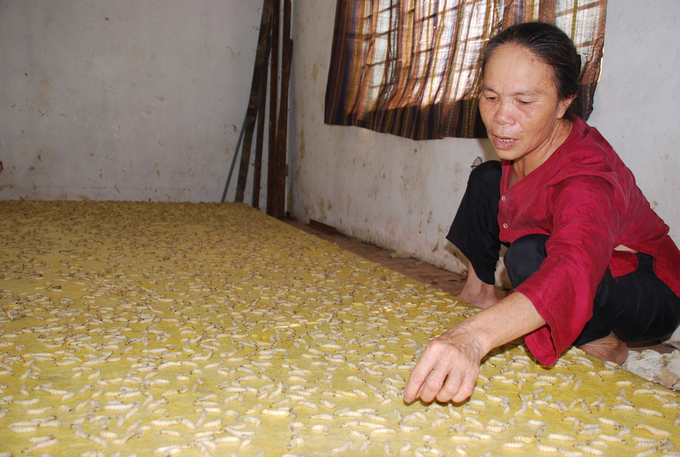 Mỹ Đức phát huy sản phẩm OCOP dựa trên nền tảng làng nghề truyền thống - Vietnam.vn Mỹ Đức phát huy sản phẩm OCOP dựa trên nền tảng làng nghề truyền thống