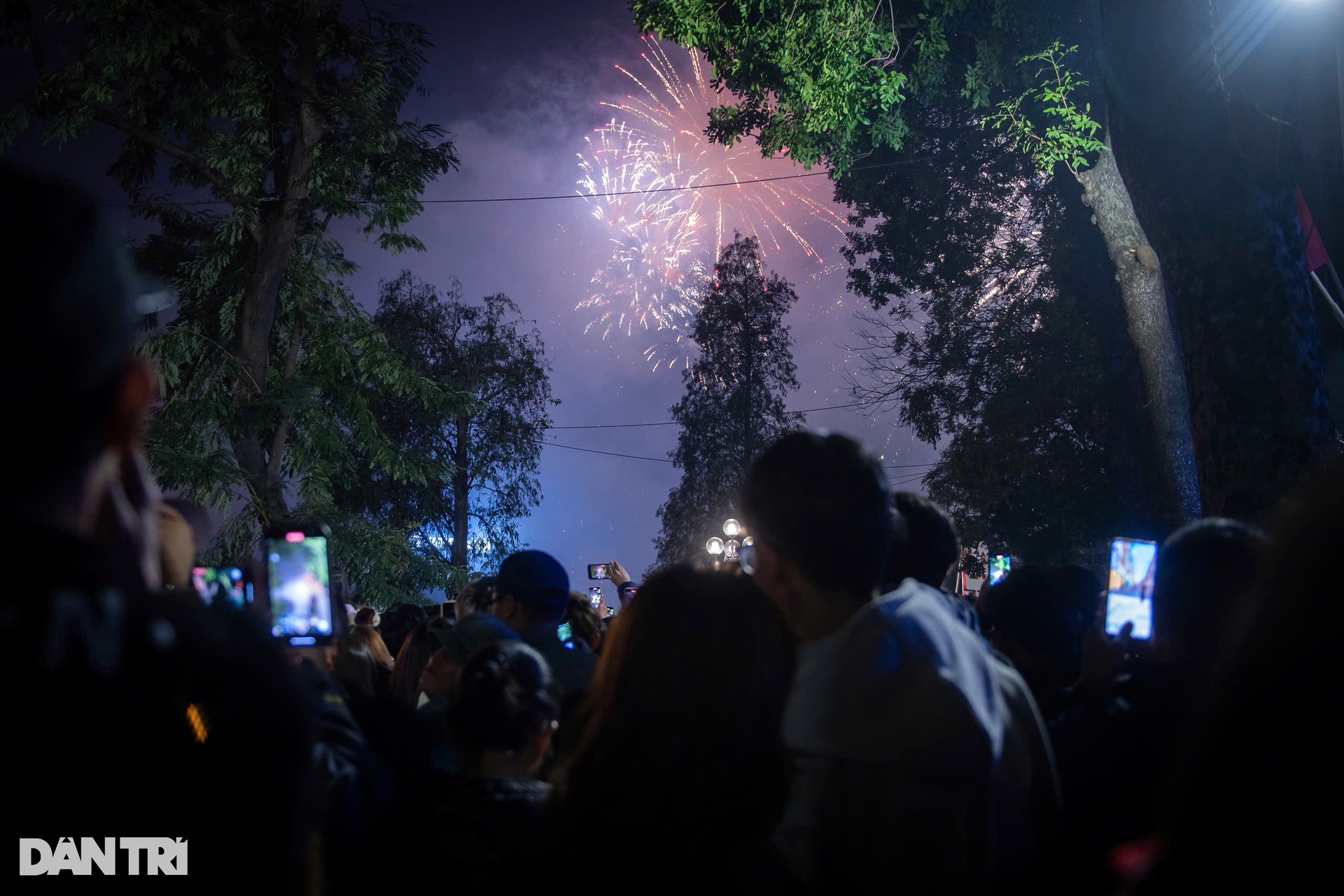 Mãn nhãn màn pháo hoa rực sáng bầu trời chào năm mới 2025 - 4 Mãn nhãn màn pháo hoa rực sáng bầu trời chào năm mới 2025 - 4