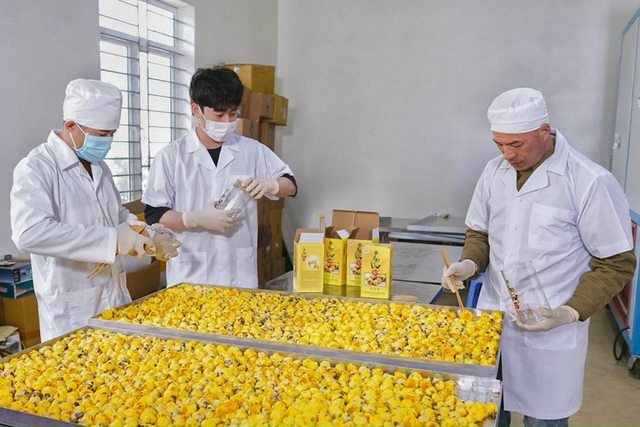 Quảng Ninh: Phát triển 393 sản phẩm OCOP đạt từ 3 - 5 sao Quảng Ninh: Phát triển 393 sản phẩm OCOP đạt từ 3 - 5 sao
