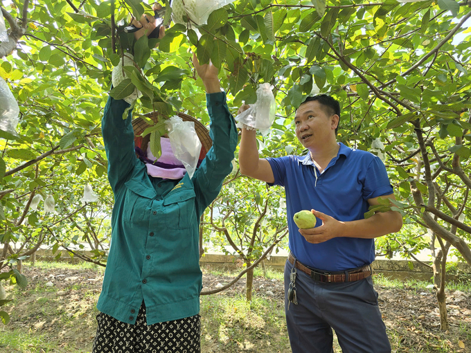 Tân Yên phát triển đa dạng sản phẩm OCOP, xây dựng huyện NTM nâng cao - Vietnam.vn Tân Yên phát triển đa dạng sản phẩm OCOP, xây dựng huyện NTM nâng cao