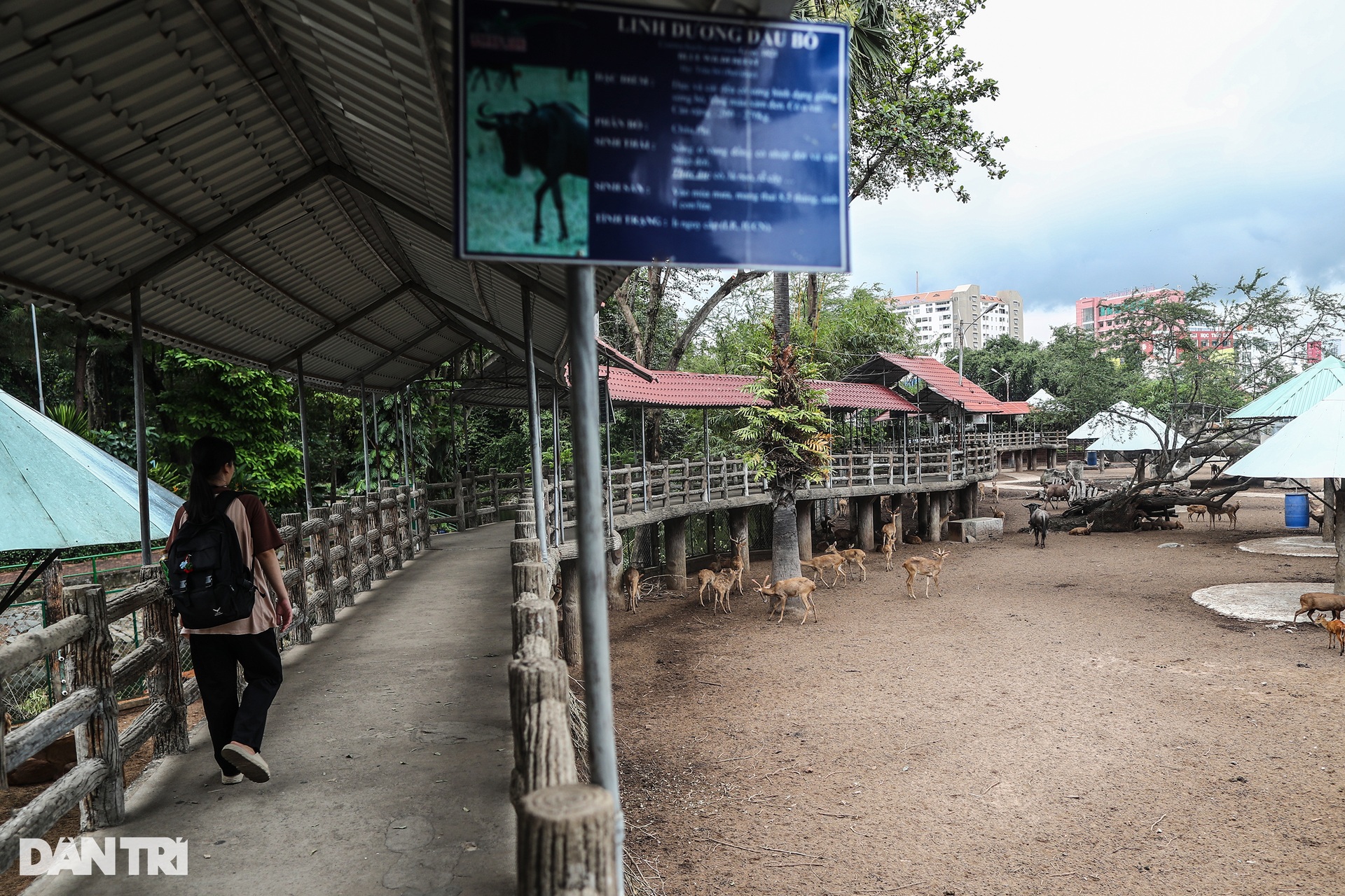 Khu đất gần 160.000m2 giữa trung tâm thành phố của Thảo Cầm Viên Sài Gòn - 8 Khu đất gần 160.000m2 giữa trung tâm thành phố của Thảo Cầm Viên Sài Gòn - 8