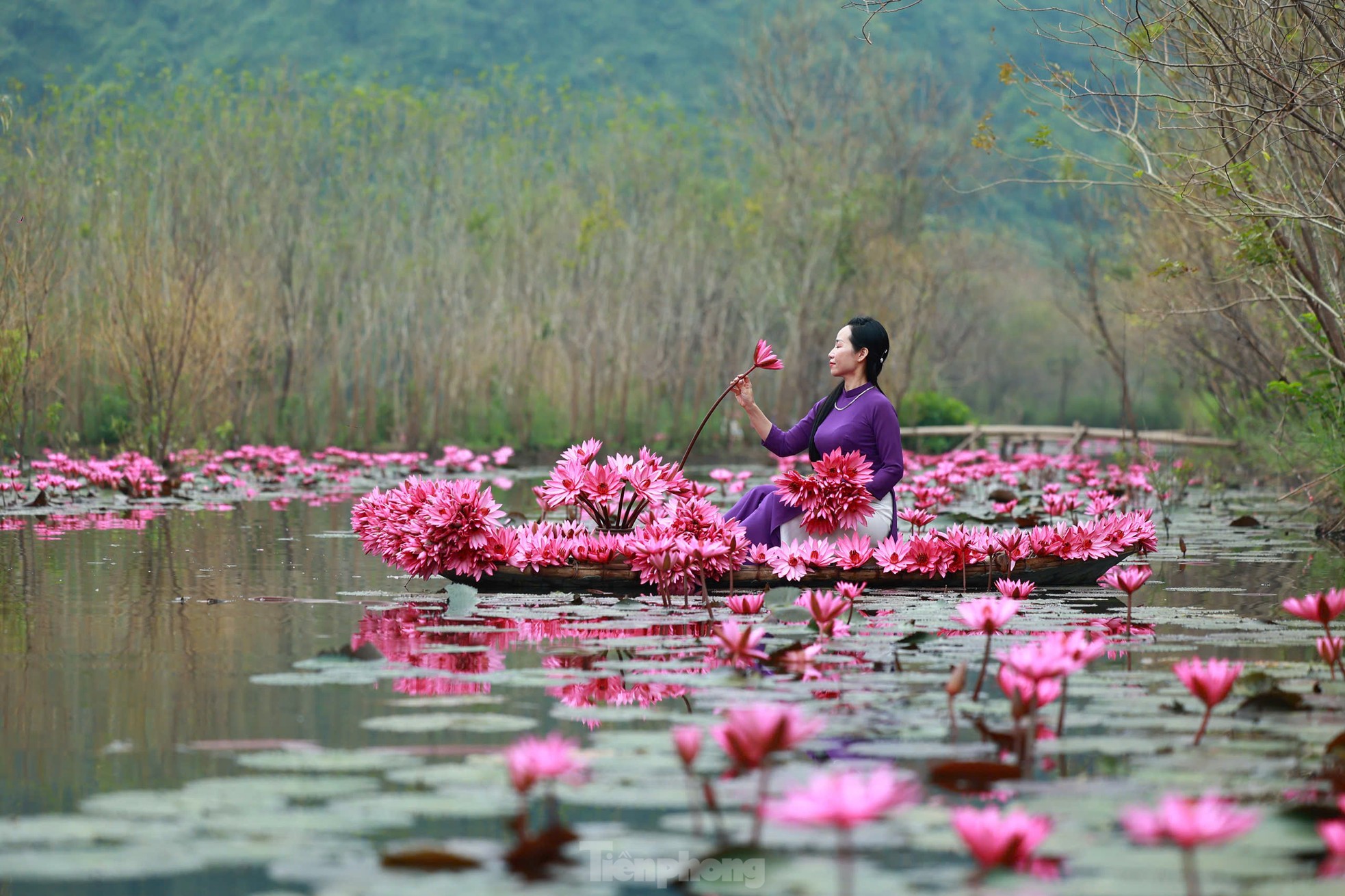 Mê mẩn những mùa hoa gây thương nhớ ở Hà Nội ảnh 10