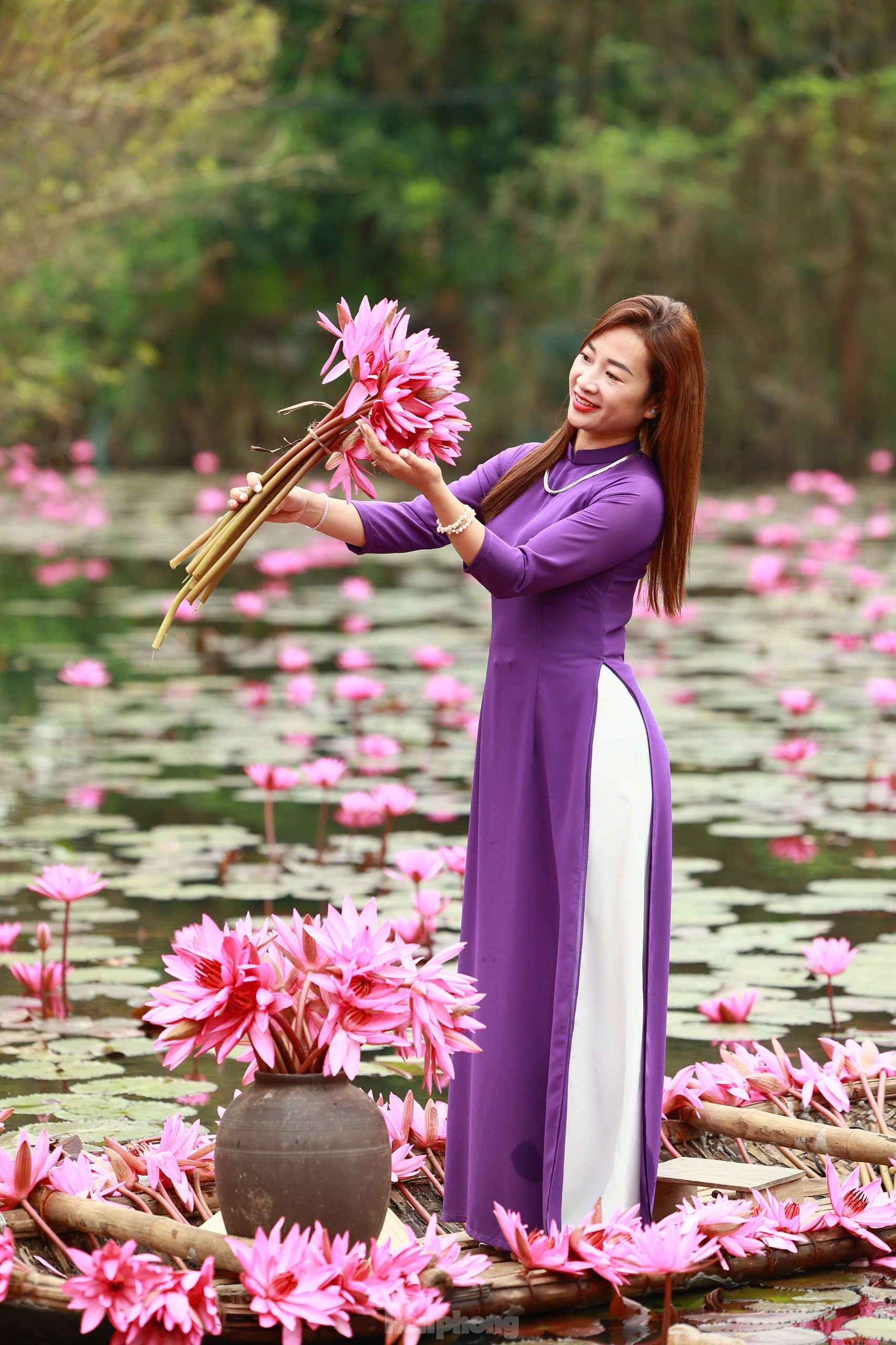 Mê mẩn những mùa hoa gây thương nhớ ở Hà Nội ảnh 13