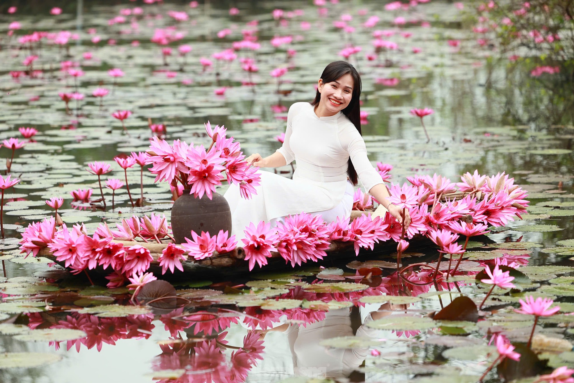 Mê mẩn những mùa hoa gây thương nhớ ở Hà Nội ảnh 11