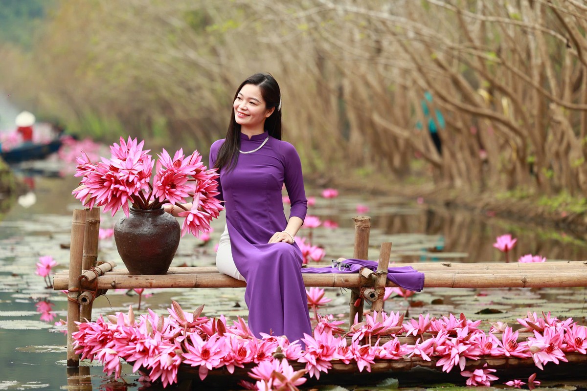 Mê mẩn những mùa hoa gây thương nhớ ở Hà Nội ảnh 15