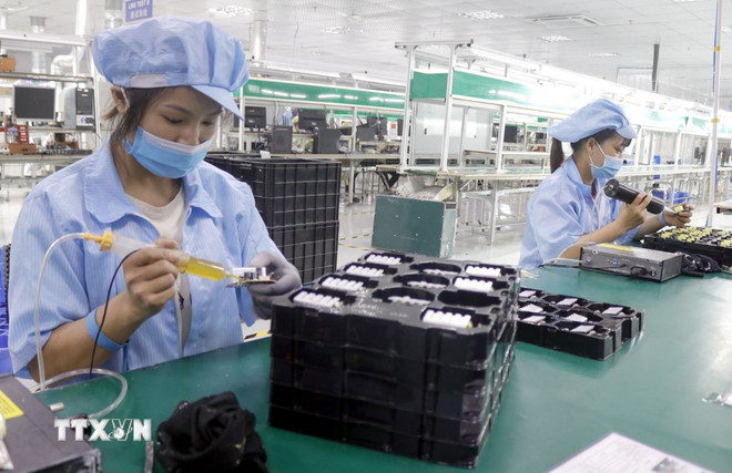 (Ảnh: Đồng Thúy/TTXVN) ttxvn-chip-ban-dan.jpg