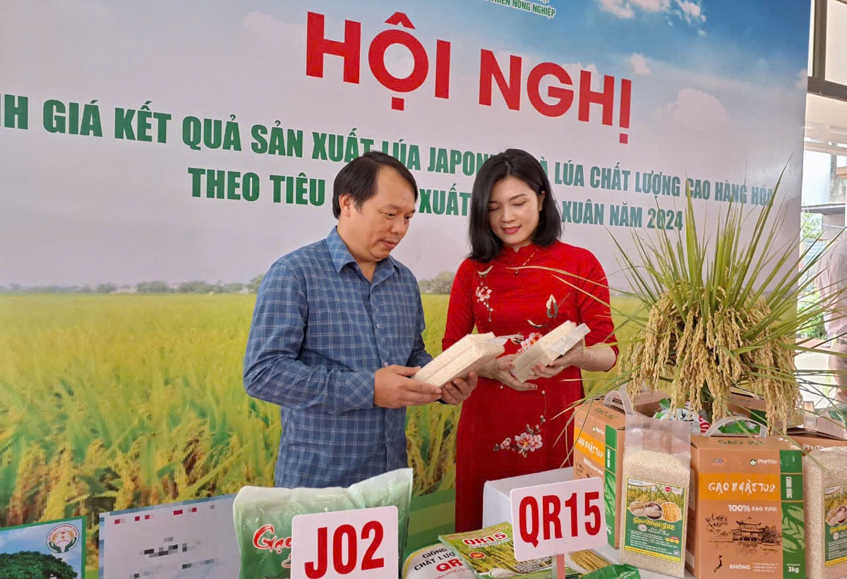 Ứng Hòa phát triển sản phẩm OCOP từ vùng trồng lúa tập trung