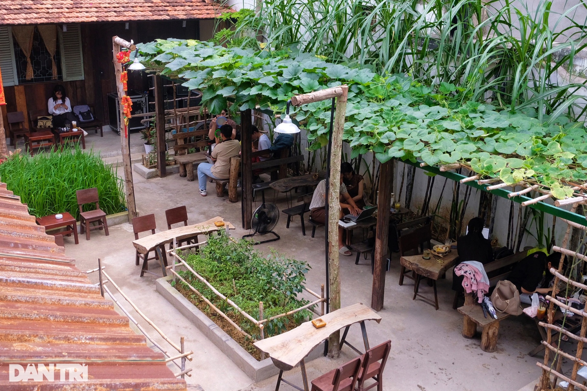 Quán cà phê ở TPHCM có bếp củi, giàn bầu: Khách chạy 1 tiếng đến chụp ảnh - 1 Quán cà phê ở TPHCM có bếp củi, giàn bầu: Khách chạy 1 tiếng đến chụp ảnh - 1