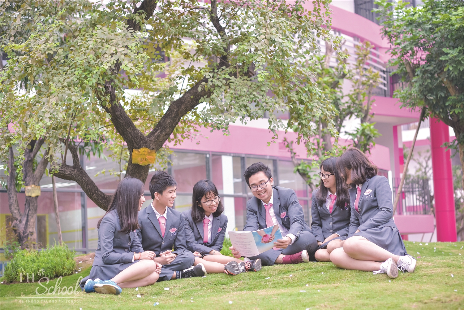Dự án TH School Dự án TH School