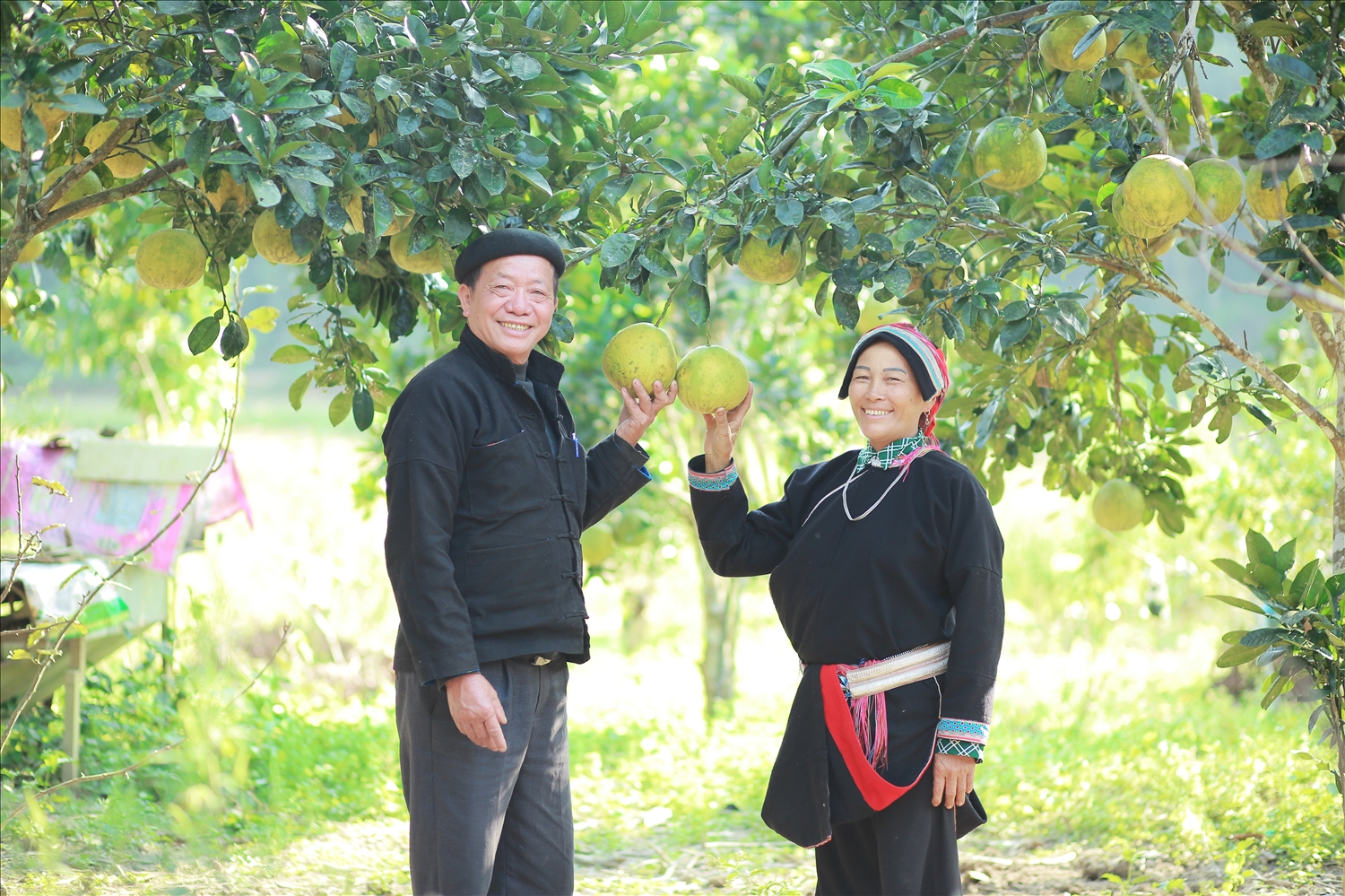 Việc triển khai thực hiện các Chương trình MTQG nói chung và Chương trình MTQG 1719 nói riêng trên địa bàn tỉnh Hà Giang đã góp phần cải thiện đời sống của người dân, thúc đẩy kinh tế - xã hội theo hướng bền vững Việc triển khai thực hiện các Chương trình MTQG nói chung và Chương trình MTQG 1719 nói riêng trên địa bàn tỉnh Hà Giang đã góp phần cải thiện đời sống của người dân, thúc đẩy kinh tế - xã hội theo hướng bền vững