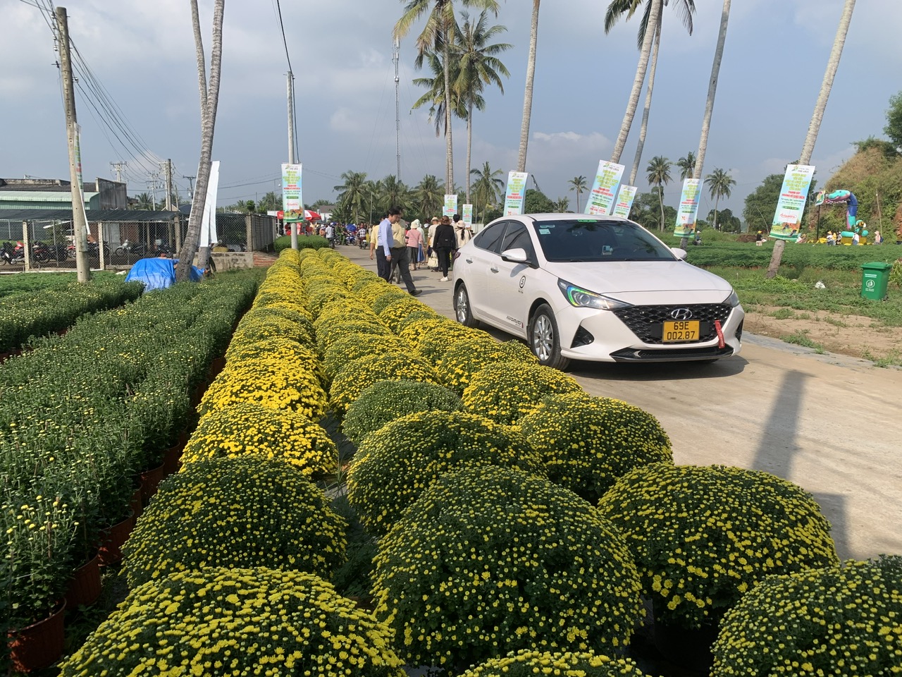 Lễ hội lần đầu tổ chức tại Bến Tre với tuyến đường hoa dài nhất Việt Nam- Ảnh 3. Lễ hội lần đầu tổ chức tại Bến Tre với tuyến đường hoa dài nhất Việt Nam- Ảnh 3.