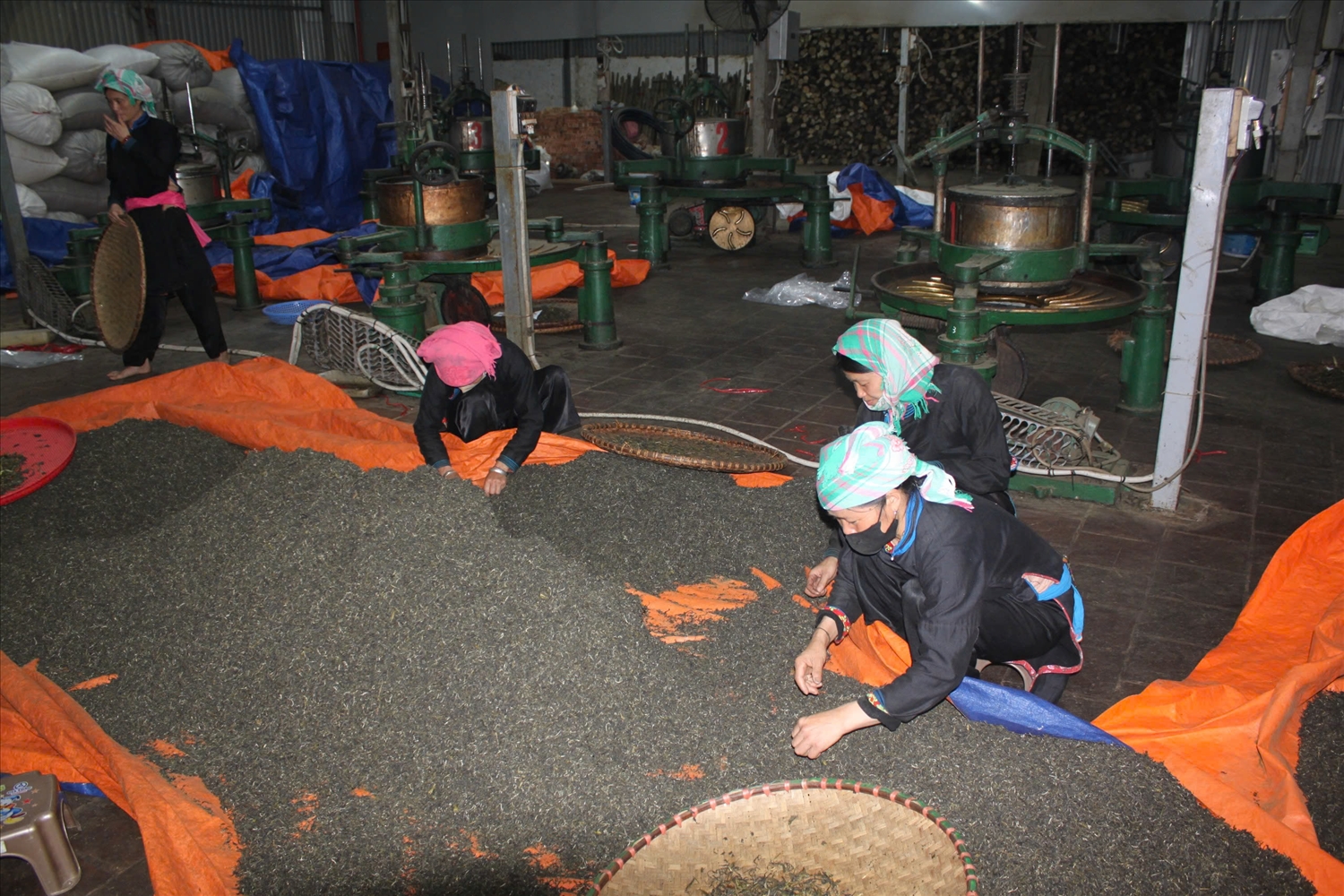 HTX Chè hữu cơ Bản Liền góp phần giải quyết công ăn, việc làm, thu nhập ổn định cho bà con nông dân, giảm nghèo bền vững. HTX Chè hữu cơ Bản Liền góp phần giải quyết công ăn, việc làm, thu nhập ổn định cho bà con nông dân, giảm nghèo bền vững.
