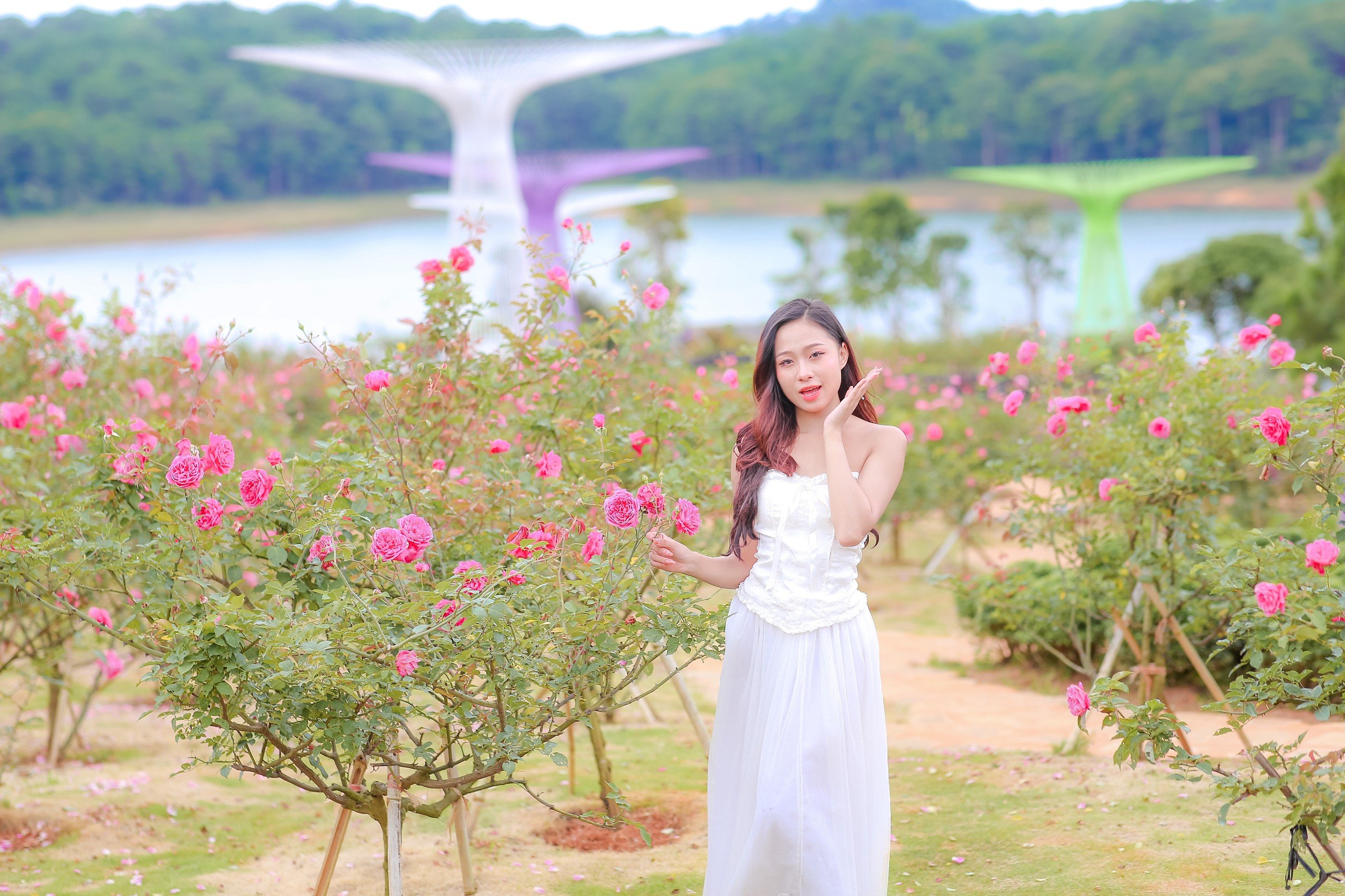 Một cánh đồng với đủ sắc màu xanh đỏ tím vàng, là nét đẹp yêu kiều của những cánh hoa hồng Pháp, màu tím thương nhớ cả đồi hoa sim, là cả màu trời nhượm sắc cẩm tú cầu xanh dịu êm, là màu vàng nắng của loài hoa Mimosa và dã quỳ rực rỡ. Một cánh đồng với đủ sắc màu xanh đỏ tím vàng, là nét đẹp yêu kiều của những cánh hoa hồng Pháp, màu tím thương nhớ cả đồi hoa sim, là cả màu trời nhượm sắc cẩm tú cầu xanh dịu êm, là màu vàng nắng của loài hoa Mimosa và dã quỳ rực rỡ.