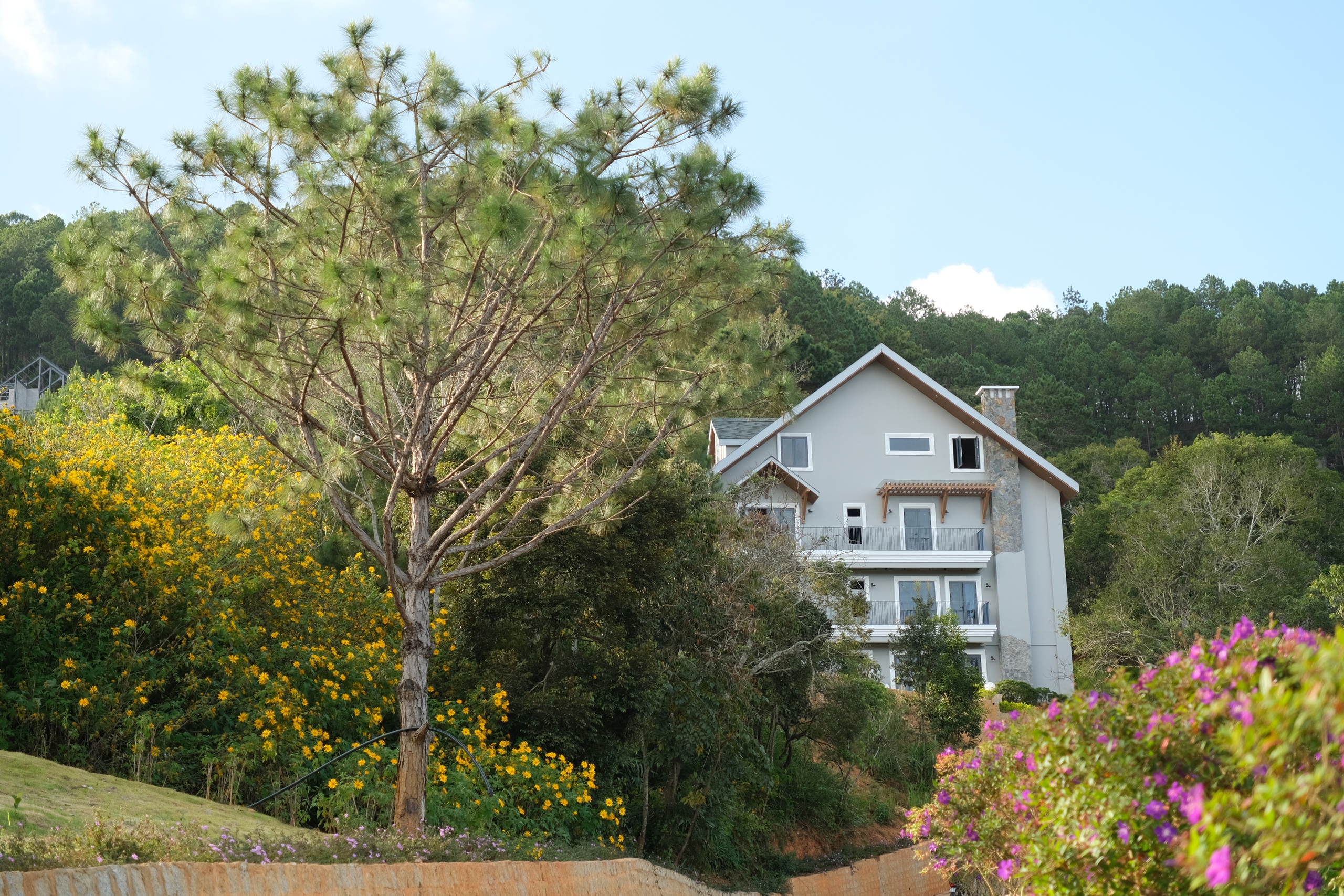 Lavender Dalat Hotel and Resorts – Ngôi làng cổ tựa trời Âu xinh đẹp Lavender Dalat Hotel and Resorts – Ngôi làng cổ tựa trời Âu xinh đẹp