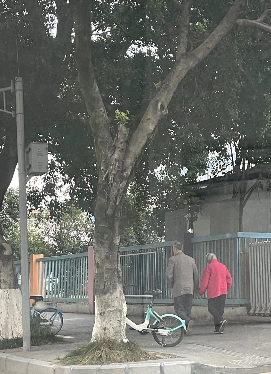 Loạt hành động khó tin của những cặp yêu nhau khi về già khiến cả khu phố ngoái nhìn, lập tức bật camera lên "chụp lén" - Ảnh 10. Loạt hành động khó tin của những cặp yêu nhau khi về già khiến cả khu phố ngoái nhìn, lập tức bật camera lên "chụp lén" - Ảnh 10.