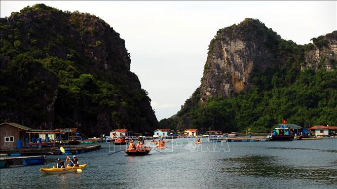 Một làng chài ở Vịnh Hạ Long của Quảng Ninh, toàn núi đá, la liệt cá ngon, con động vật đẻ ra ngọc- Ảnh 2. Một làng chài ở Vịnh Hạ Long của Quảng Ninh, toàn núi đá, la liệt cá ngon, con động vật đẻ ra ngọc- Ảnh 2.