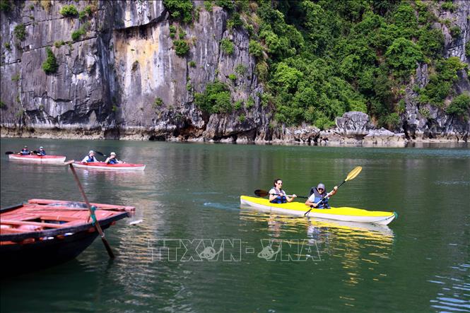Một làng chài ở Vịnh Hạ Long của Quảng Ninh, toàn núi đá, la liệt cá ngon, con động vật đẻ ra ngọc- Ảnh 3. Một làng chài ở Vịnh Hạ Long của Quảng Ninh, toàn núi đá, la liệt cá ngon, con động vật đẻ ra ngọc- Ảnh 3.