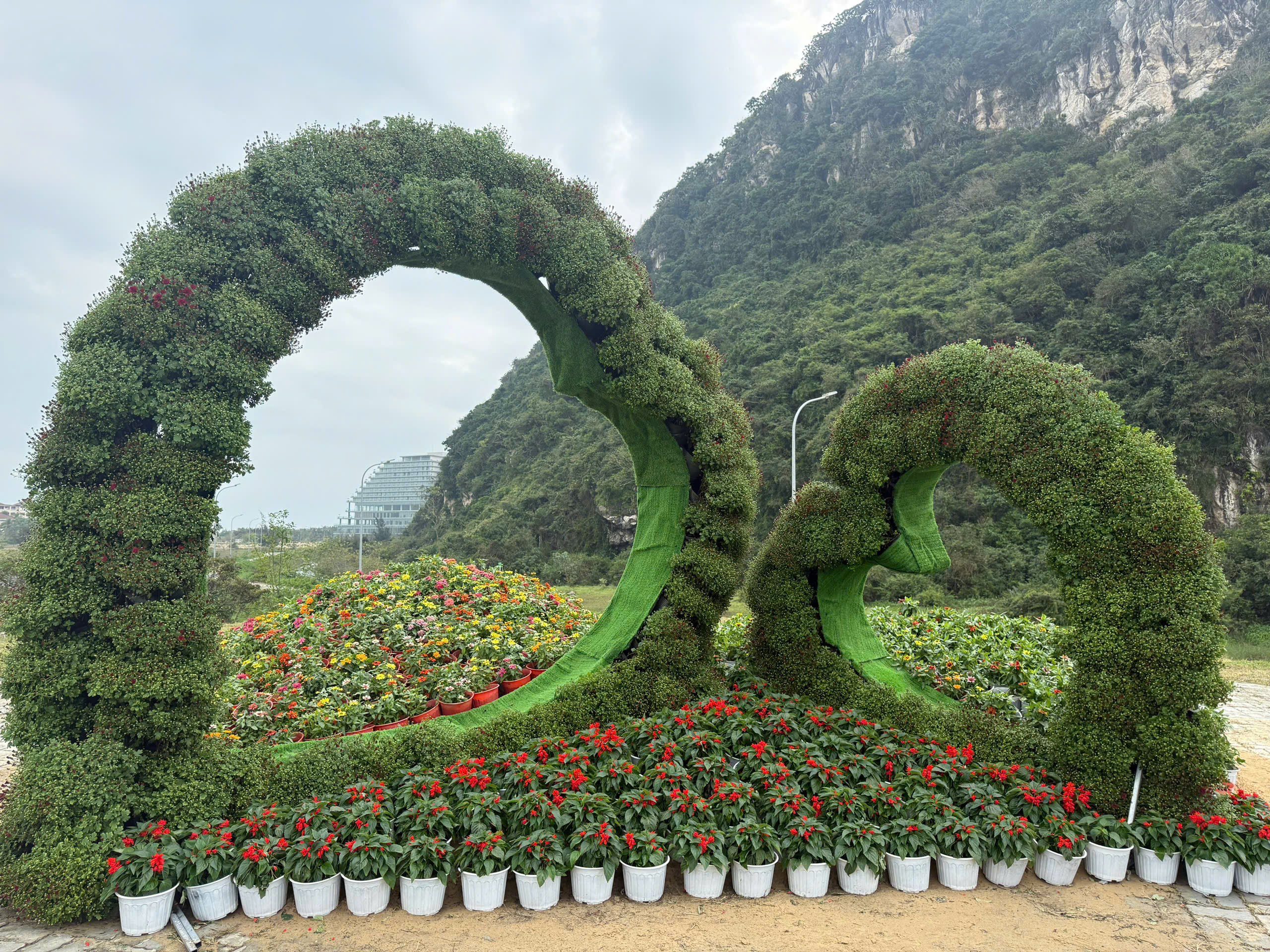 Vườn hoa xuân tại danh thắng Ngũ Hành Sơn mở cửa đón khách- Ảnh 4. Ngũ Hành Sơn