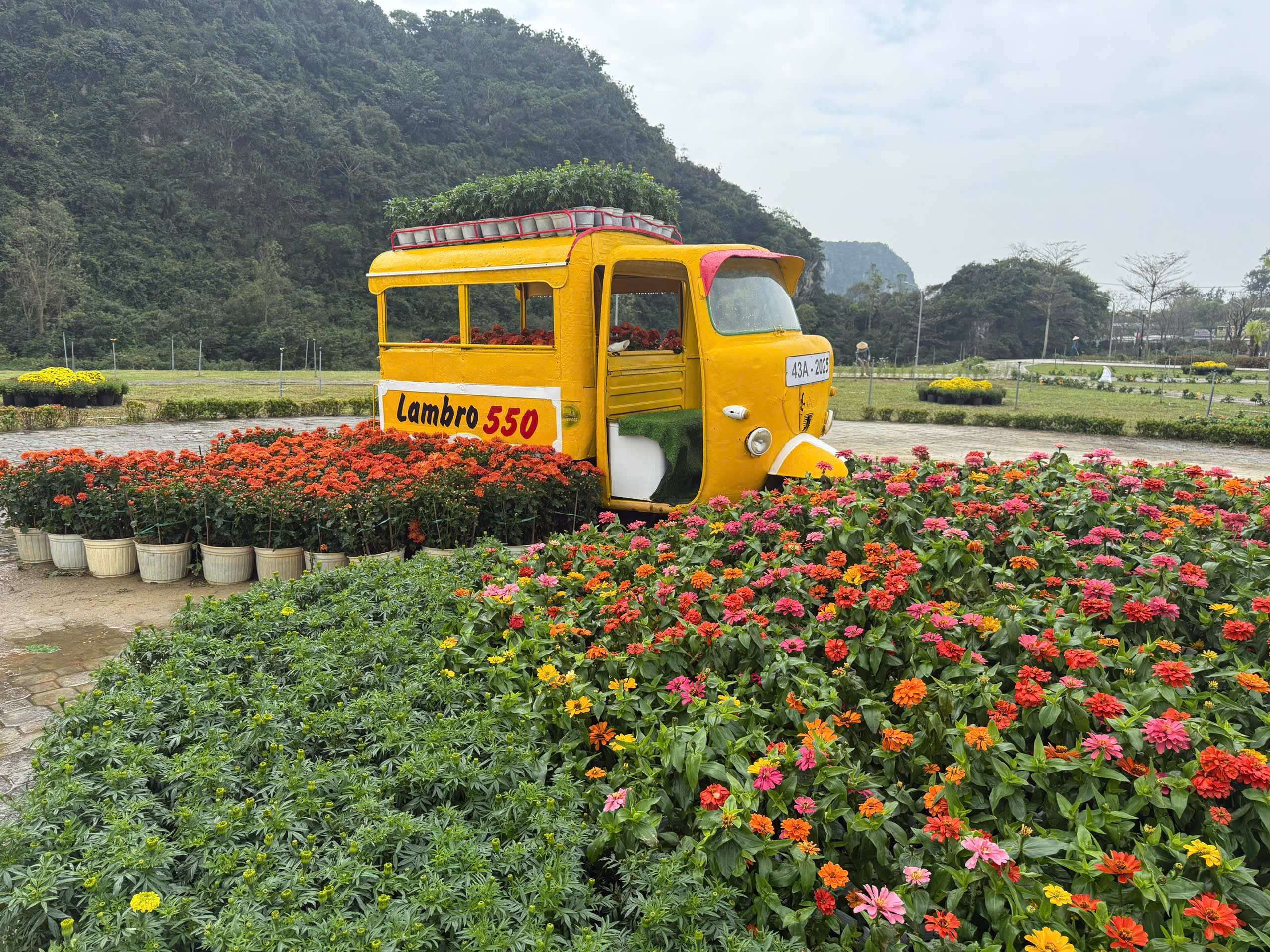 Vườn hoa xuân tại danh thắng Ngũ Hành Sơn mở cửa đón khách- Ảnh 6. Ngũ Hành Sơn