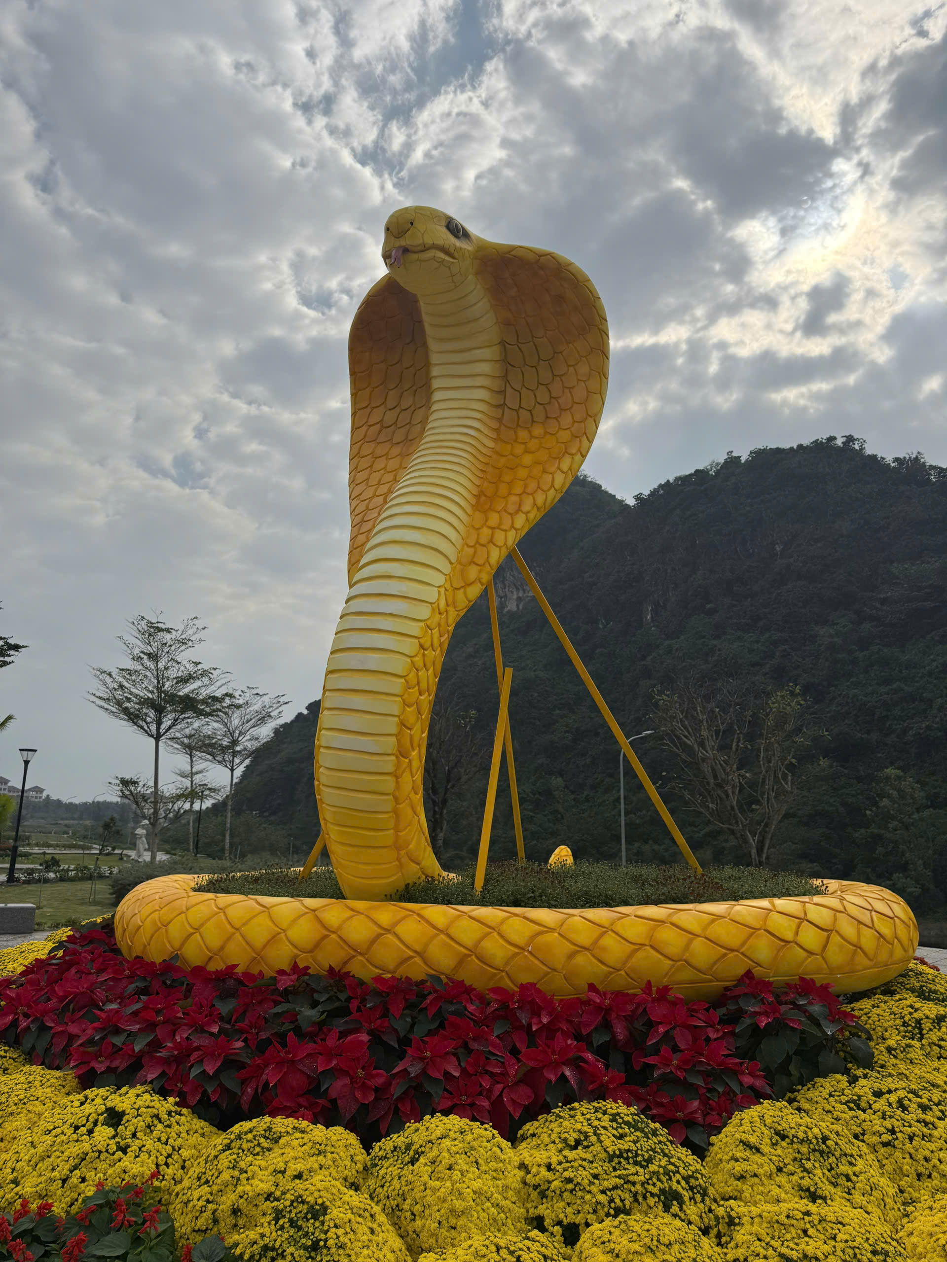 Vườn hoa xuân tại danh thắng Ngũ Hành Sơn mở cửa đón khách- Ảnh 9. Ngũ Hành Sơn