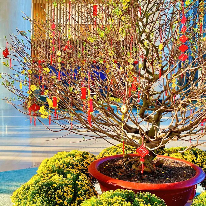 Khám phá tết xưa giữa những không gian đương đại quyến rũ- Ảnh 13. Khám phá tết xưa giữa những không gian đương đại quyến rũ- Ảnh 13.