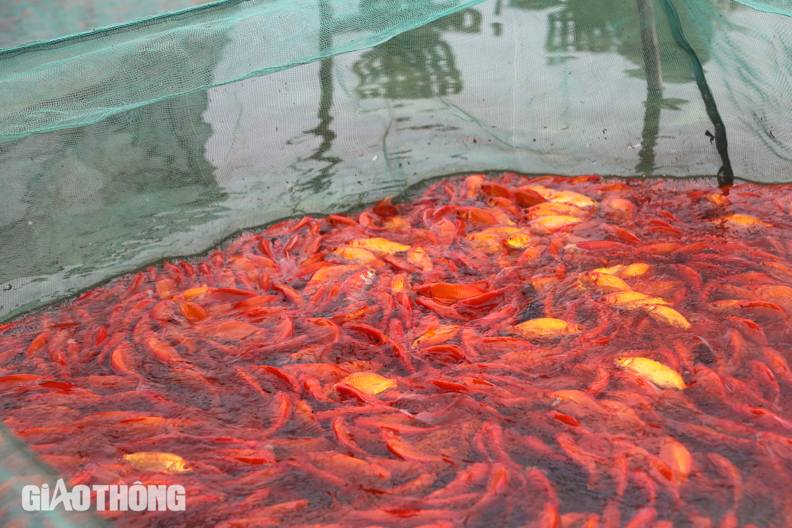 Làng sản xuất Làng sản xuất