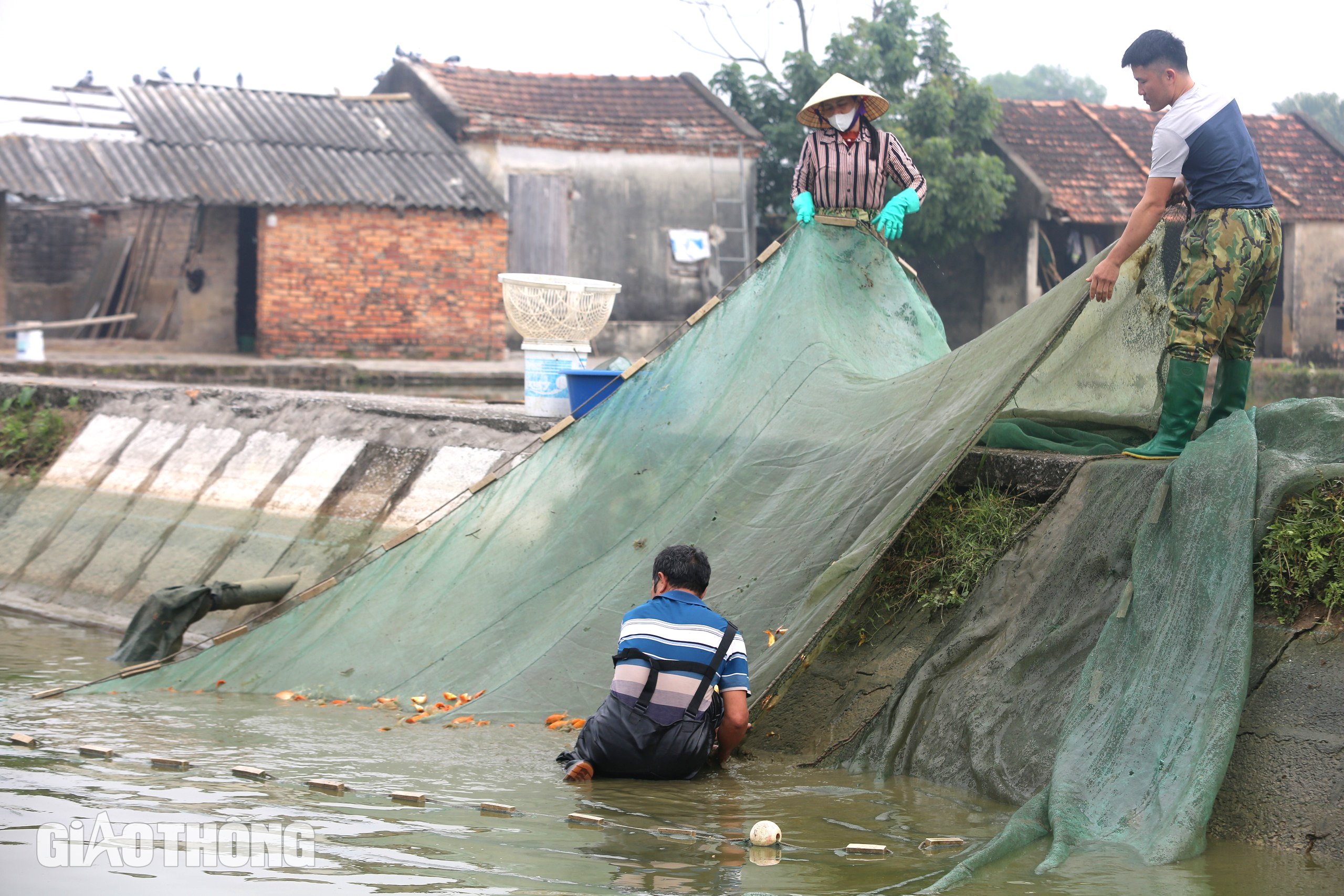 Làng sản xuất Làng sản xuất